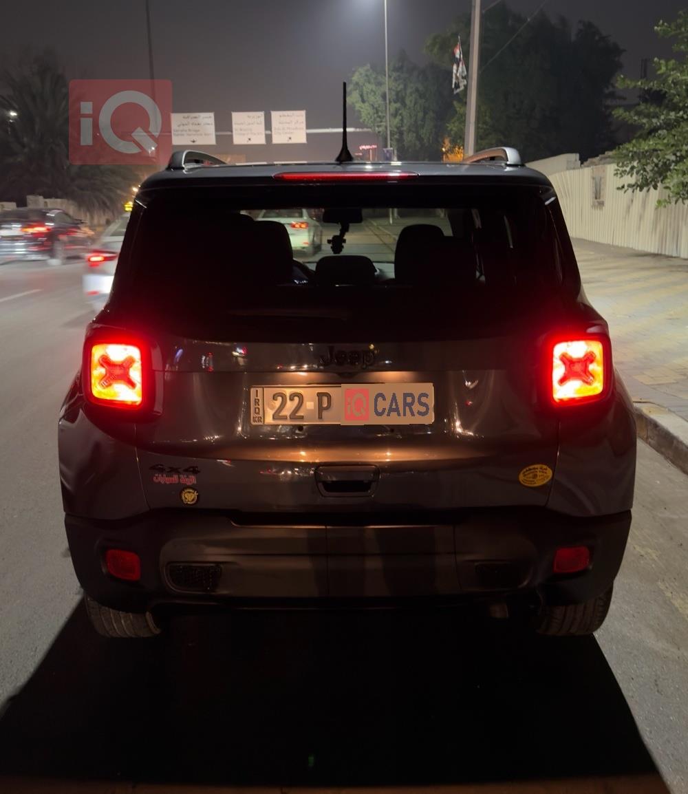 جيب رينيجيد